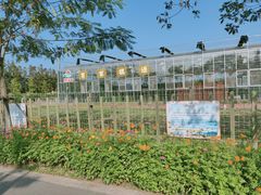 -上海长兴岛郊野公园