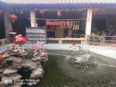 -八姑农庄·广府西江菜·云南野生菌