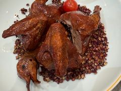 -朱记乳鸽王·非遗石岐乳鸽·全鸽宴(大兴旗舰店)