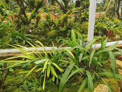 -国家植物园南园