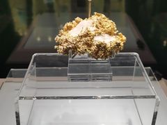 -安徽省地质博物馆