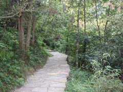 IMG_2616-武夷山风景名胜区-虎啸岩