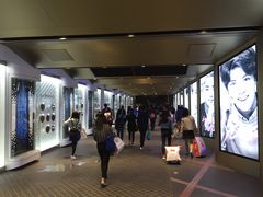 -乐天免税店(明洞店)