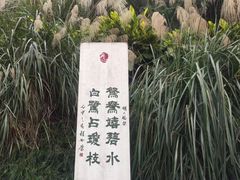 -重庆彩云湖湿地公园