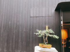 -觀芷隐轩