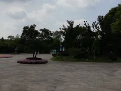 -梁鸿国家湿地公园