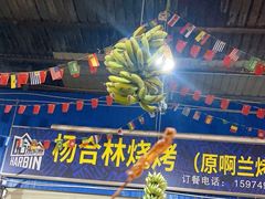 -杨合林啊兰烤鱼