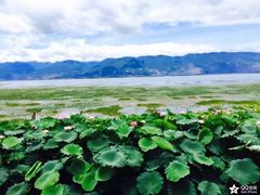 -南诏风情岛