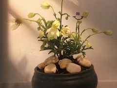 -花二家·生活馆(六运小区店)
