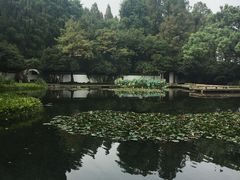 -郭庄茶室