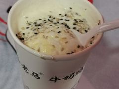 -清真老马家国华牛奶鸡蛋醪糟(正宁路店)