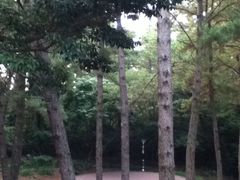 -汉拿树木园