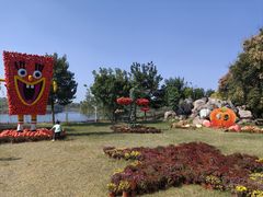 -黄河富景生态世界