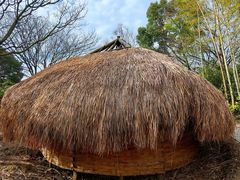 -河姆渡遗址博物馆