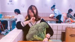 -VEKA 维卡造型