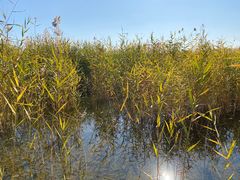 -永定河休闲森林公园
