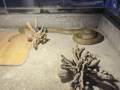 -聊城海底世界
