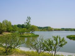 -东郊湿地公园
