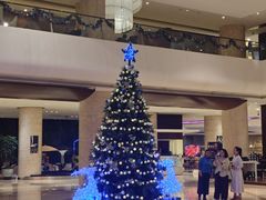 -天津滨海圣光皇冠假日酒店