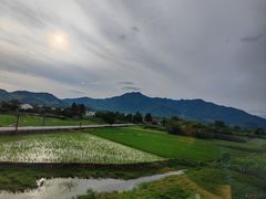 -黄牛肉馆·皖南土菜