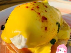 -HUATA 'Holiday Plan 花榻