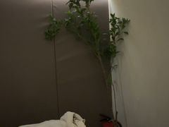 -小仙女采耳·按摩·SPA(深圳旗舰店)