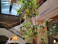 -阿什卡咖啡馆ESSCA COFFEE(塔里木石油宾馆店)