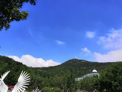 -大连森林动物园