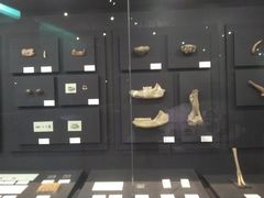 -北京周口店北京人遗址博物馆