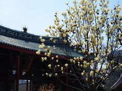 -烟台市博物馆