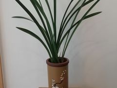 -听雨小筑茶舍(观音桥·龙湖新壹街店)