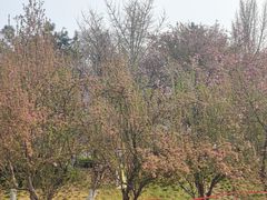 -元大都城垣遗址公园