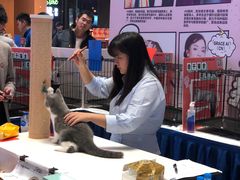 -天虹购物中心(石路店)