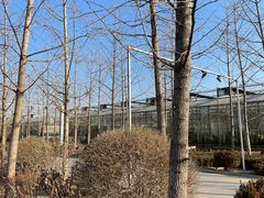 -南宫五洲植物乐园