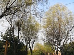 -唐城墙遗址公园