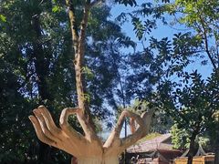 -瑞丽独树成林风景区