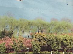 -聚龙湖公园