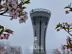-上海山野camping·户外天幕烧烤·团建拓展营地