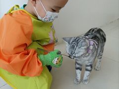 -怪兽屋·羊驼·猫咖·狗咖(俊华广场店)