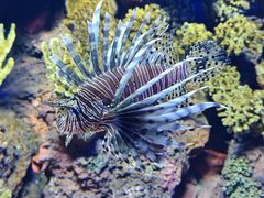 -上海海洋水族馆