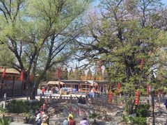 -大槐树寻根祭祖园