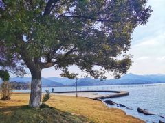 -东钱湖旅游度假区