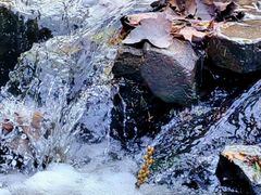 -白水寺森林公园