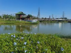 -王借岗森林公园