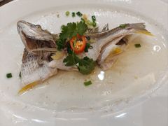 -有腥气私房菜·寻味顺德