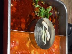 -新辣道鱼火锅(龙旗广场店)