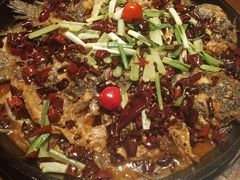 -老板恋上鱼(高新万达店)