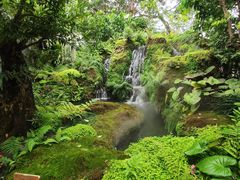 -Chom Cafe and Restaurant