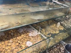 -仙螺岛海鲜自助餐厅(总店)