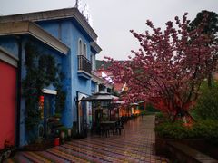 -茅山肴·道家菜·神仙鸡